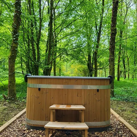 Le Domaine Insolite De Broceliande * Paimpont